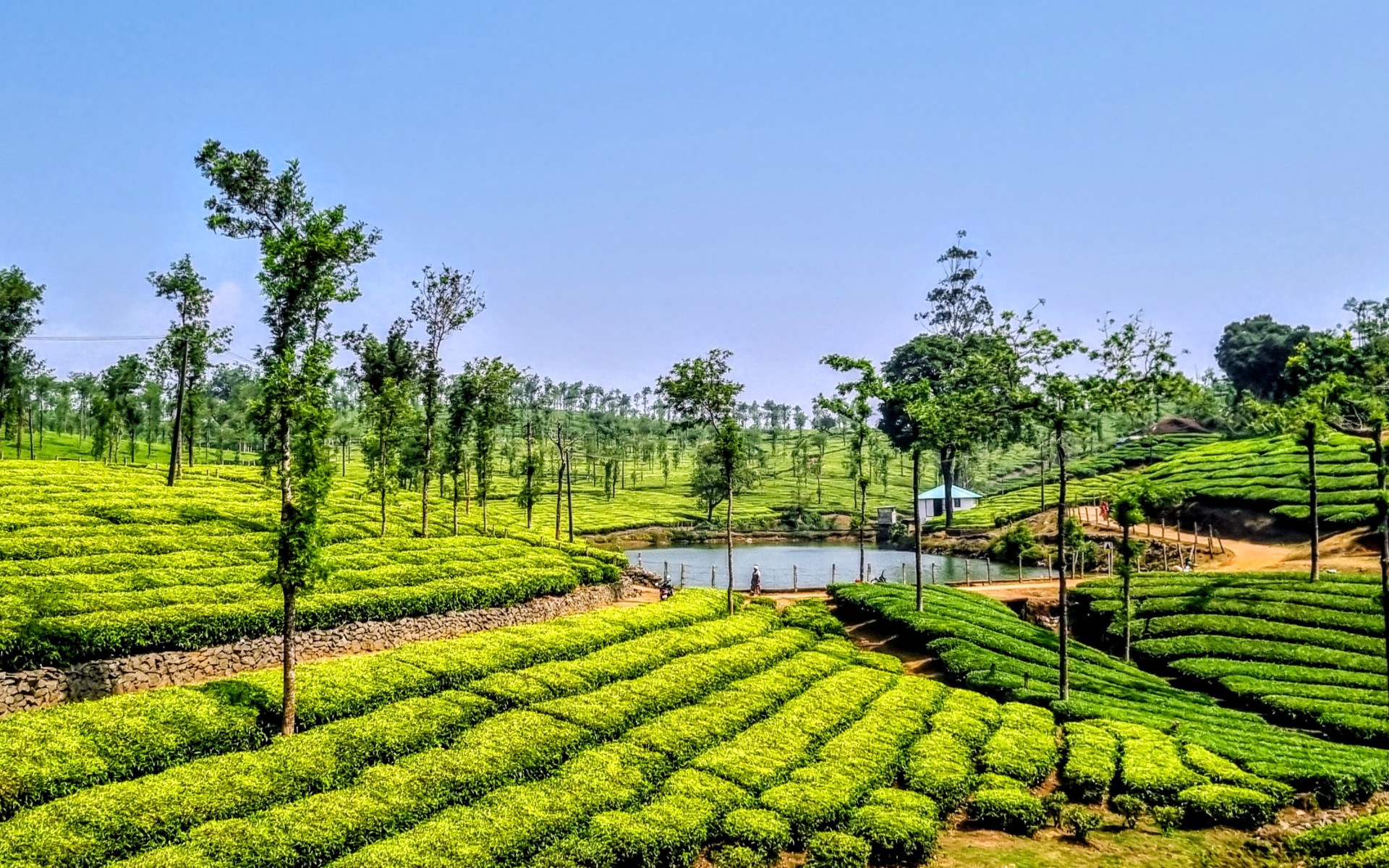 Trichy - Colombo