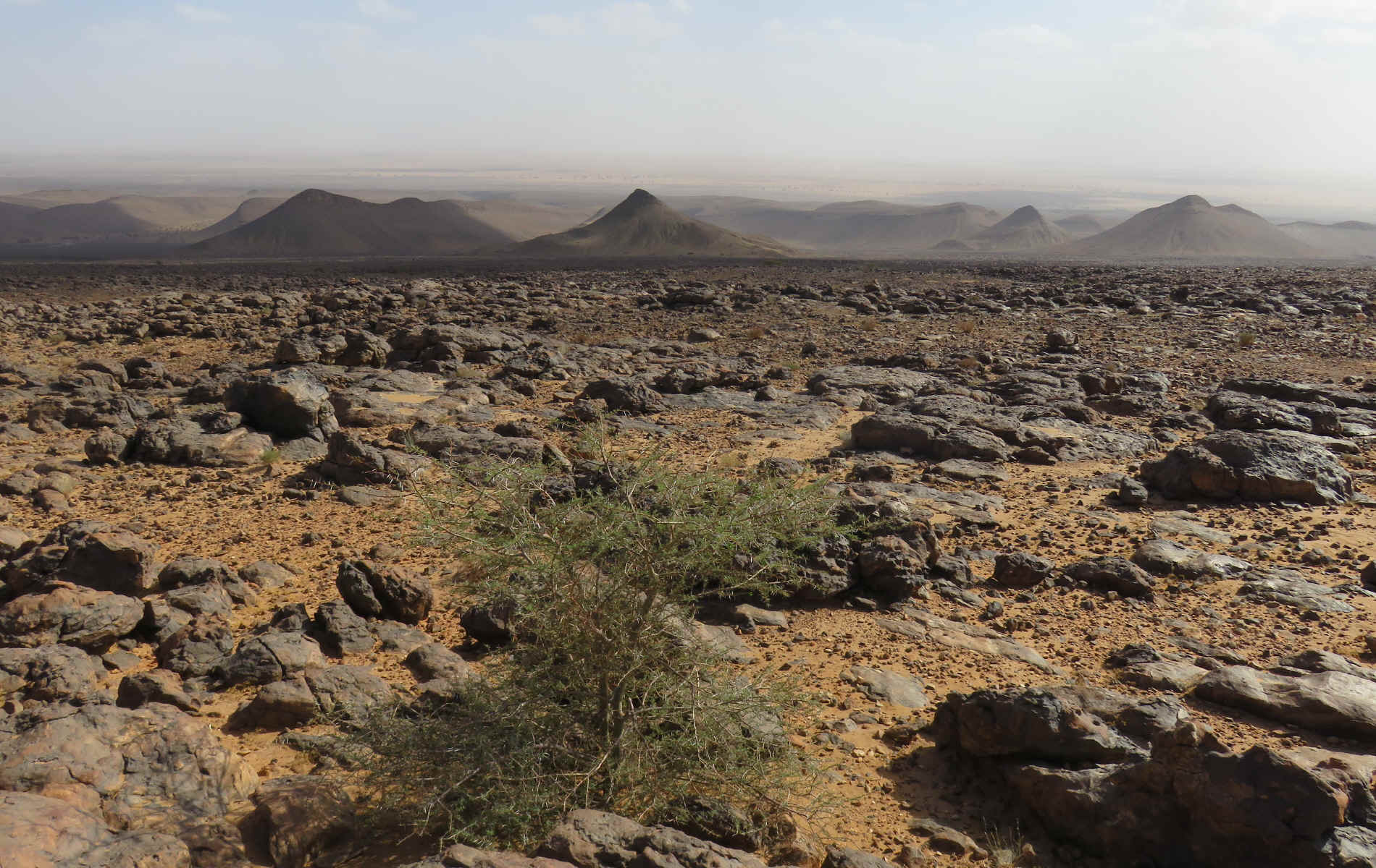 Dunes Barcanes > Oasis Achguig > Col et Oasis Laiouge