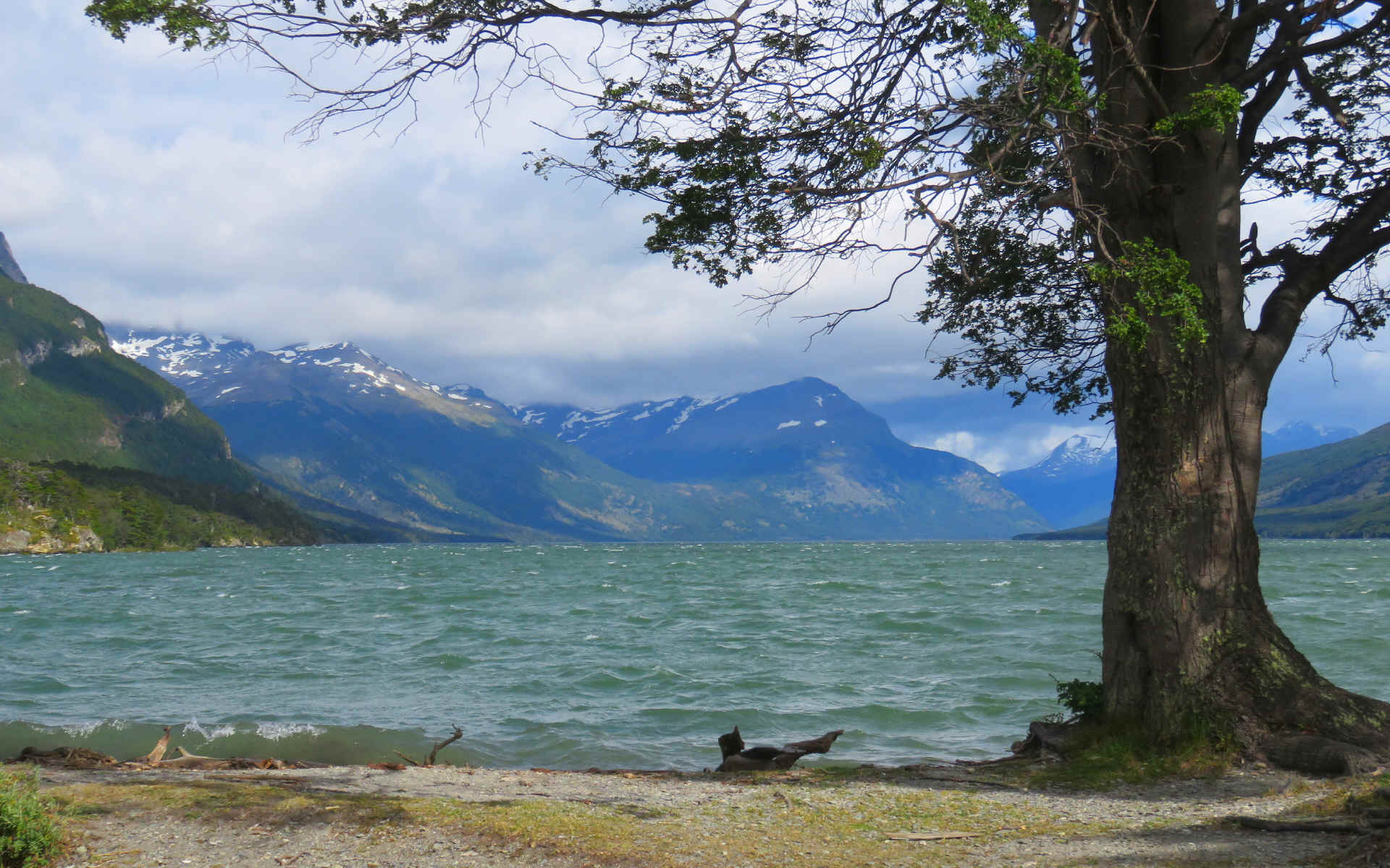 Tierra del Fuego