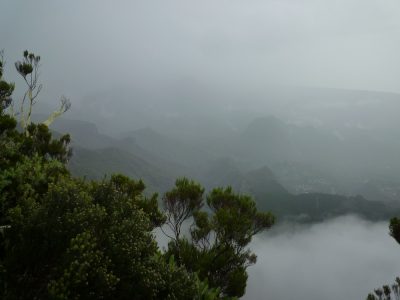 Île de la Réunion — étape 8 : Piton des Neiges - Hell Bourg