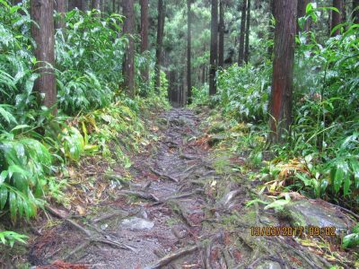 Île de la Réunion — étape 8 : Piton des Neiges - Hell Bourg
