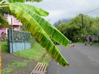 Île de la Réunion — étape 9 : Hell Bourg - Grand Ilet
