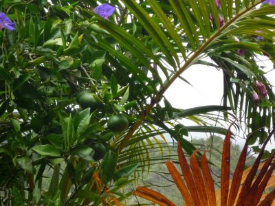 Île de la Réunion — étape 9 : Hell Bourg - Grand Ilet