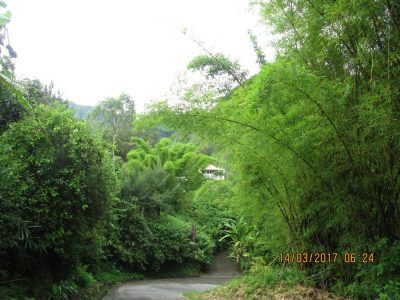 Île de la Réunion — étape 9 : Hell Bourg - Grand Ilet