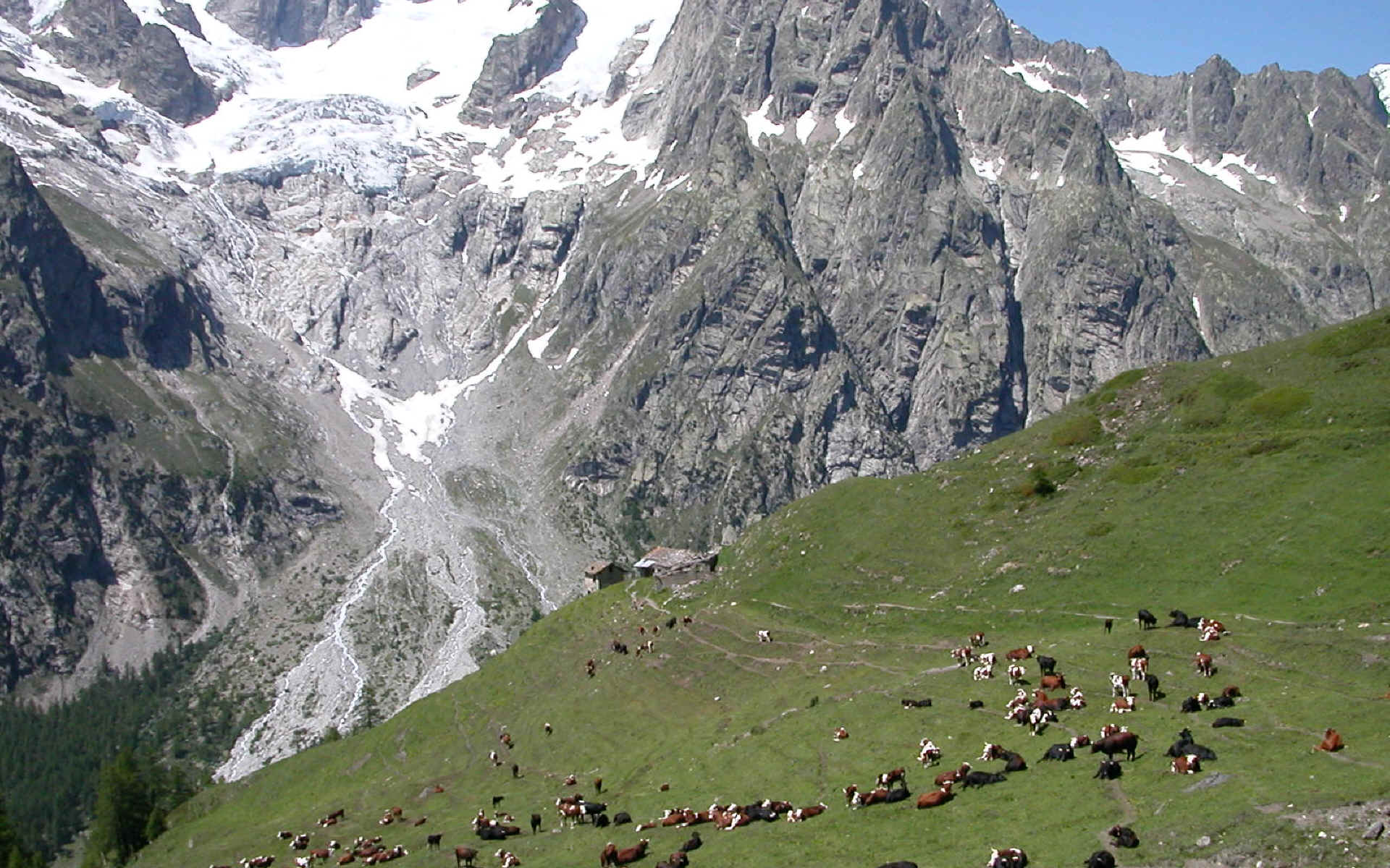 Le Val Ferret à la recherche d'Elena