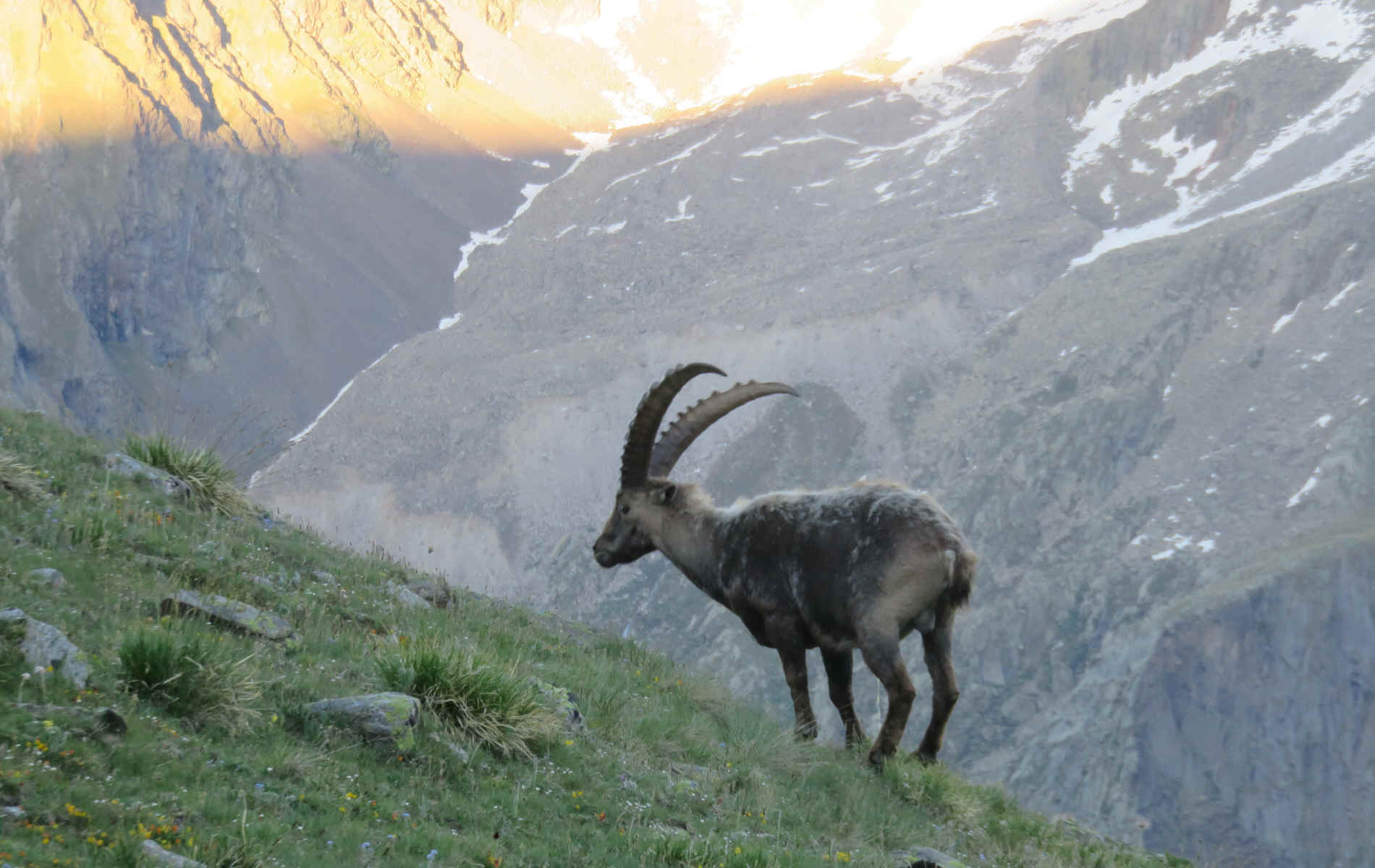 Eaux Rousses > refuge Vittorio Sella